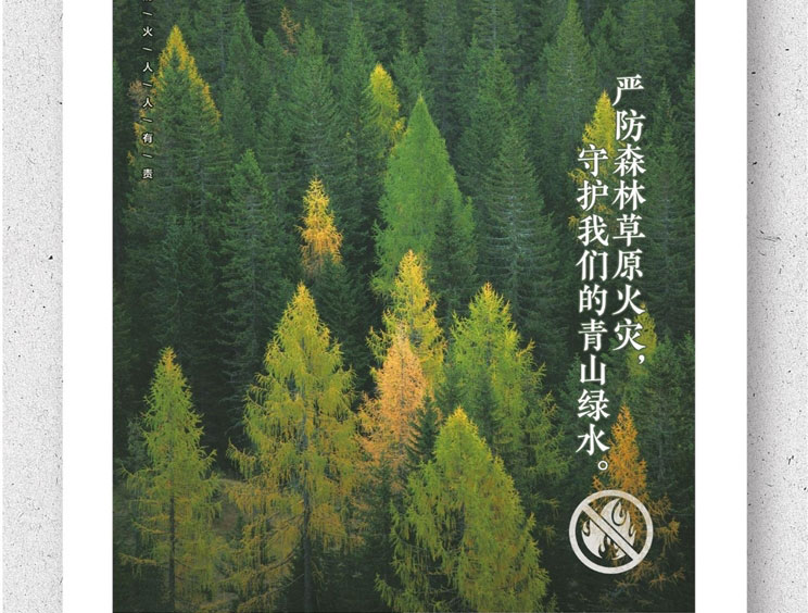 严防森林草原火灾 守护我们的青山绿水